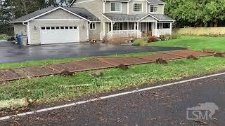 11-20-2024 King County, WA - Major Windstorm Damage - Deadly Bomb Cyclone - Powerlines & Trees Down