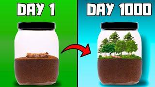 I Simulated a forest For 1000 Days (In a Jar)...