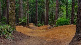 These Trails are Straight out of an R Dog Edit! (literally)