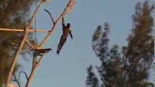 Amazing High Dive-Ricks Cafe-Jamaica