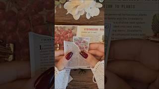 상큼한 베리류 가득 #달빛다이어리 #빈티지다이어리꾸미기 #journalingasmr #healingasmr #diarydecoration