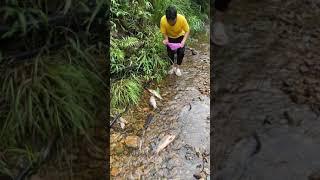 Survival Fishing Skills | Catch Catfish by Unique Fishing | EW2324