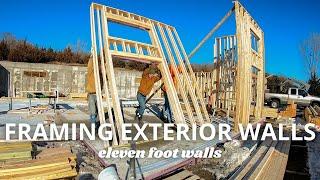 Framing the Exterior Walls | WHAT'S NEXT | Thick Walls for ENERGY EFFICIENT HOUSE