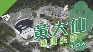 【黃大仙搵樓】竹園北邨・東頭邨・黃大仙下邨・健康生活不求人