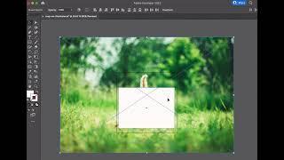 How to Select All Items on Adobe Illustrator