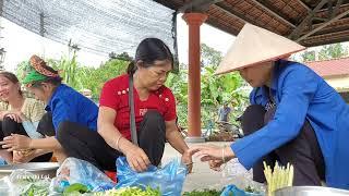 Harvesting melons for sale, how to make bean trellis, peaceful life in the countryside