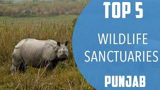 Top 5 Best Wildlife Sanctuary to Visit in Punjab | India - English