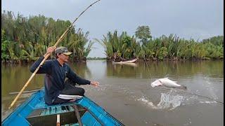 Hit by rain again, two Barramundi fish on the third day