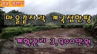 NO.427 마을끝자락 계곡접한 영천부동산 매물 계획관리지역 상수도 전기 3,900만원