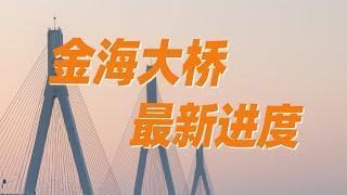 金海大橋最新進度！珠機城際路線動線圖公開，有經過你家嗎？