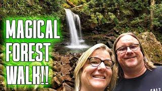 Hike This ENCHANTING, EASY Redwood National & State Parks Trail!! | Trillium Falls | Humboldt County