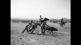 Hispanic Influence on Ranching in Texas