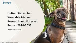 United States Pet Wearable Market Analysis, Recent Trends and Regional Growth Forecast by 2024-32