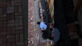 Paving with mixed thickness bricks