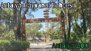 SAKIN YAPMAYIN️ANTALYA HAYVANAT BAHÇESİ