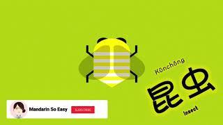 Learn about insect in chinese | how to call the insect in mandarin | 昆虫 | easy mandarin