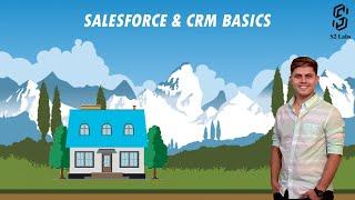 Salesforce & CRM Basics