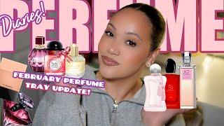 PERFUME DIARIES  FEBRUARY PERFUME TRAY UPDATE! | PERFUMES I'VE BEEN WEARING THIS MONTH | AMY GLAM