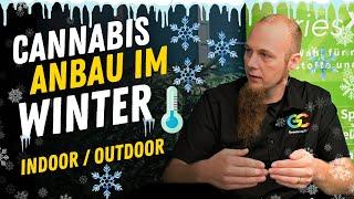 Cannabis Anbau im Winter - alles was du wissen solltest für den Erfolgreichen Anbau im Winter !