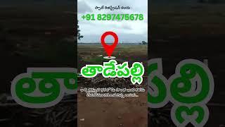 Ready-to-Build Open Plots in Tadepalli | APCRDA | Prime Location in Tadepalli | Sales +91 8297475678