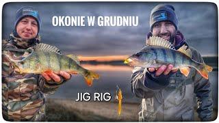 JAK SKUTECZNY JEST JIG RIG // OKONIE NA SPINNING W GRUDNIU // 2024