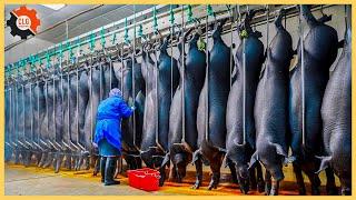 How Farmers Raise And Process Millions Of Black Pigs At The Factory-Pig Farms|Food Industry Machines