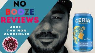 Ceria Grainwave Non Alcoholic Beer Review! - Josh the Non Alcoholic and NoBoozeReviews!