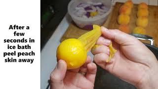 How to Simply Peel and Pit cling Peaches