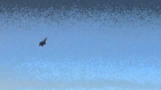 F22 Raptor at Hillsboro airshow 2014