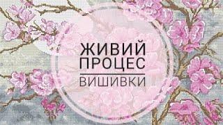 Живий процес вишивки (4) | Вишивка хрестиком | Stitch with me