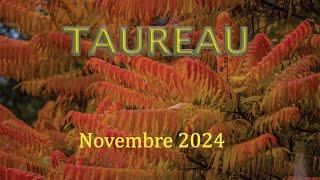 TAUREAU - Novembre 2024 ~ Un deuil à faire