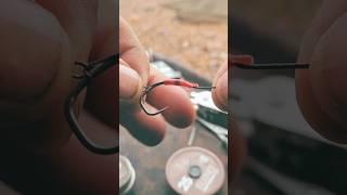 Tie a Slip-D Multi Rig for Wafters and  CHOPS! #carpfishing #fishing #angling #carprig