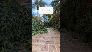 How much do you charge for hedge trimming? Avg #beforeandafter #lawncare #landscaping #hedgetrimming