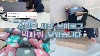 Vlog 택배비가 400만원..ㅣ빅파워 쇼핑몰 사장 브이로그ㅣ일반과세자 부가세신고ㅣ포장asmr