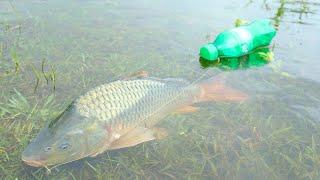 Fish Trap With Plastic Bottle! Amazing Fish Video. Fishing Boss