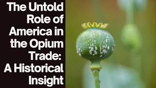 The Untold Role of America in the Opium Trade: A Historical Insight