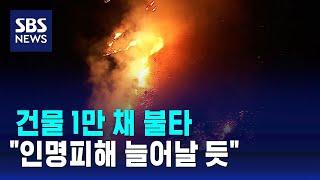 건물 1만 채 불타…"인명피해 늘어날 듯" / SBS