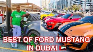 For the love of mustang / how much it will cost you to ride on a deluxe mustang in Dubai