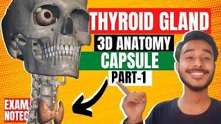 Thyroid Gland Anatomy 3D | Anatomy of thyroid gland in hindi | capsule of thyroid gland anatomy