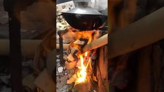How to cook with tree branches