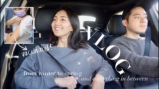 Irvine VLOG: From Winter to Spring & All Things in Between | 미국교사의 얼바인 일상. 백신접종. 코스트코 추천템. 스노우보드 여행.