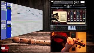 Celtic Reel - Cinewinds Pro Demo