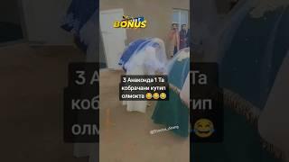  Daxshatlari faqat Bizada Shoxrux Akang kanaliga obuna bo'ling