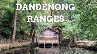 6 Best FREE things to do in the Dandenong Ranges