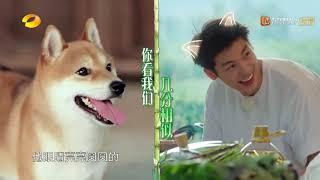 许光汉撞脸小H “柴犬系男孩”实至名归《向往的生活4》第11期 Back to field S4【湖南卫视官方HD】