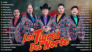 LOS TIGRES DEL NORTE 2024 ~ GRANDES ÉXITOS MIX 2024 ~ ÁLBUM COMPLETO MAS POPULAR 2024