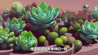 诚品绿仓多肉小院，让热爱生活的女老师们找到了一份“植物治愈”