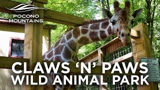 Claws 'N' Paws Wild Animal Park | Pocono Mountains