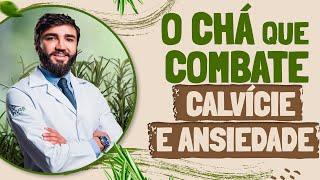 Conheça as propriedades medicinais do CHÁ DE ALECRIM!