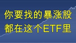 CANSLIM： 暴涨股的7个基本面条件  | 军工股抄底机会到了 #FFTY #lmt  #NOC #TDG #gd